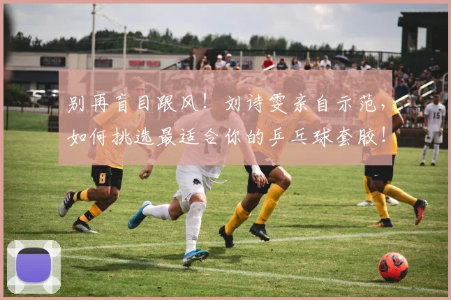 别再盲目跟风!刘诗雯亲自示范,如何挑选最适合你的乒乓球套胶!_20260704173739