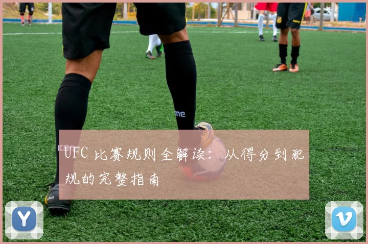 UFC 比赛规则全解读：从得分到犯规的完整指南