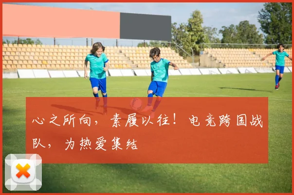 心之所向，素履以往！电竞跨国战队，为热爱集结